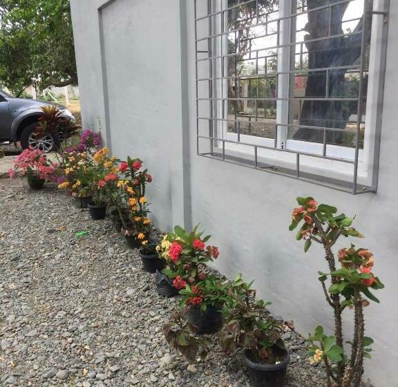 اتاق خانوادگی, Teddys Bed & Breakfast Lodge