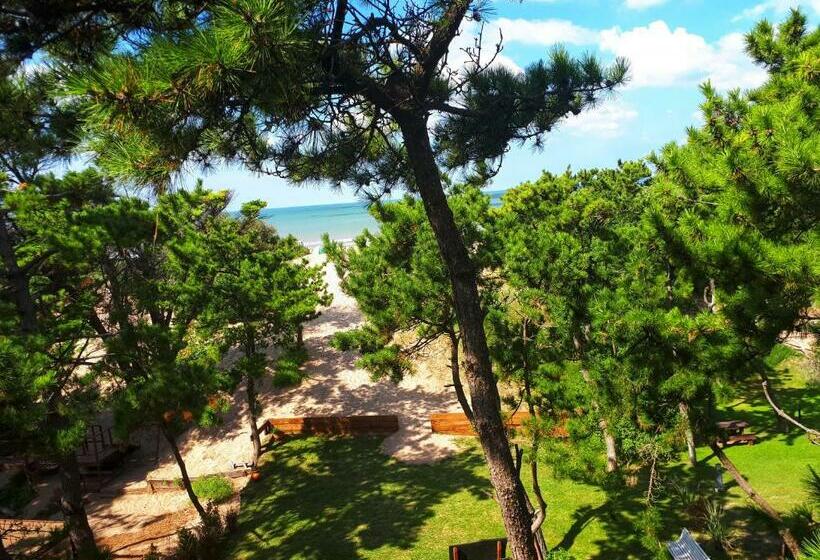 آپارتمان سوپریور 1 خوابه, Apart El Mar