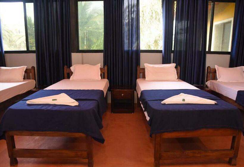 تختخواب در اتاق مشترک, Bens Sea View Hostel