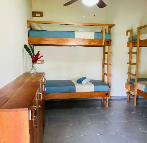 اتاق استاندارد چهار تخته, El Hostel Del Patio