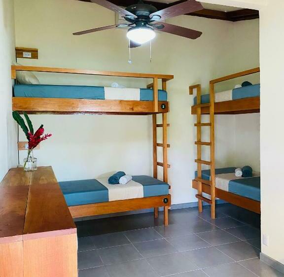 اتاق استاندارد چهار تخته, El Hostel Del Patio