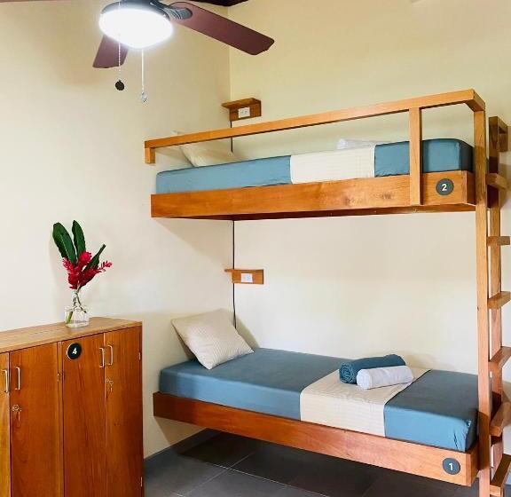 اتاق استاندارد چهار تخته, El Hostel Del Patio