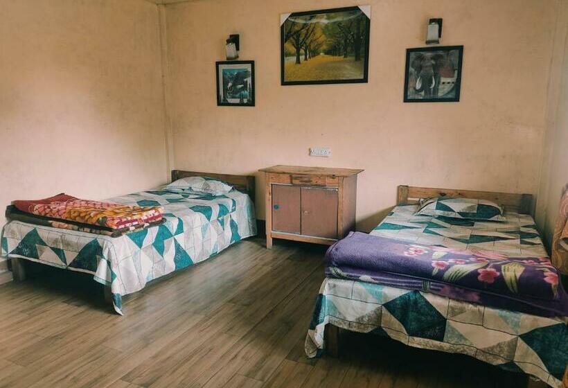 经济房, D Cloud Guesthouse