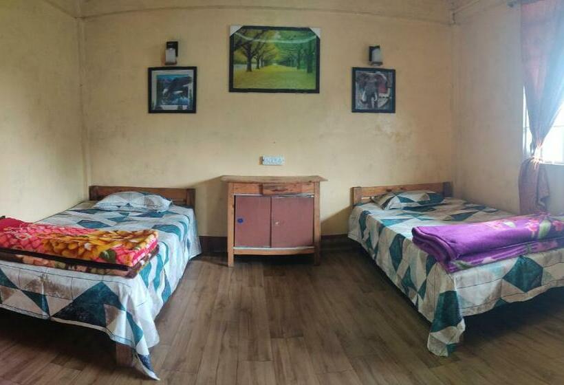 经济房, D Cloud Guesthouse