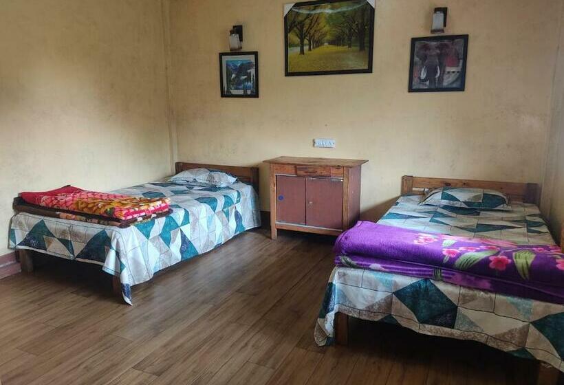 经济房, D Cloud Guesthouse