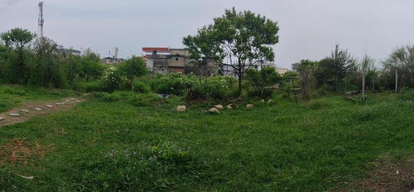 家庭间, D Cloud Guesthouse