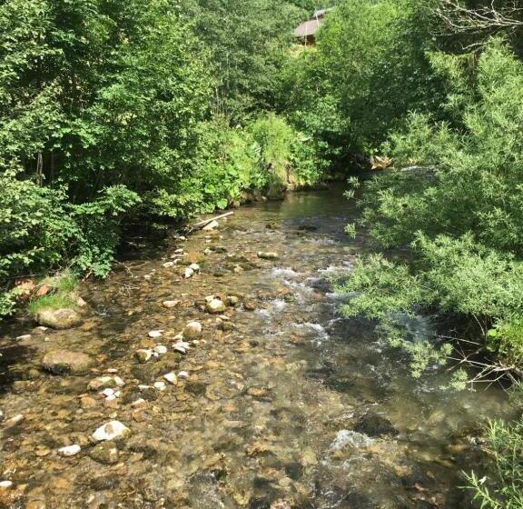 اتاق خانوادگی, Au Bois De Lune
