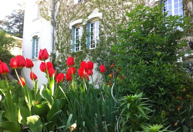 استودیوی لوکس, Villa Aimée Luxury Apartments With Heated Pool