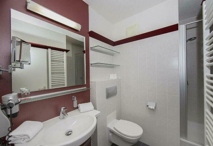 اتاق استاندارد یک نفره, Johannesbad Hotel Phönix