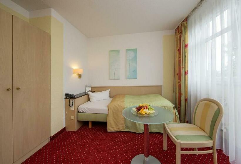 اتاق استاندارد یک نفره, Johannesbad Hotel Phönix