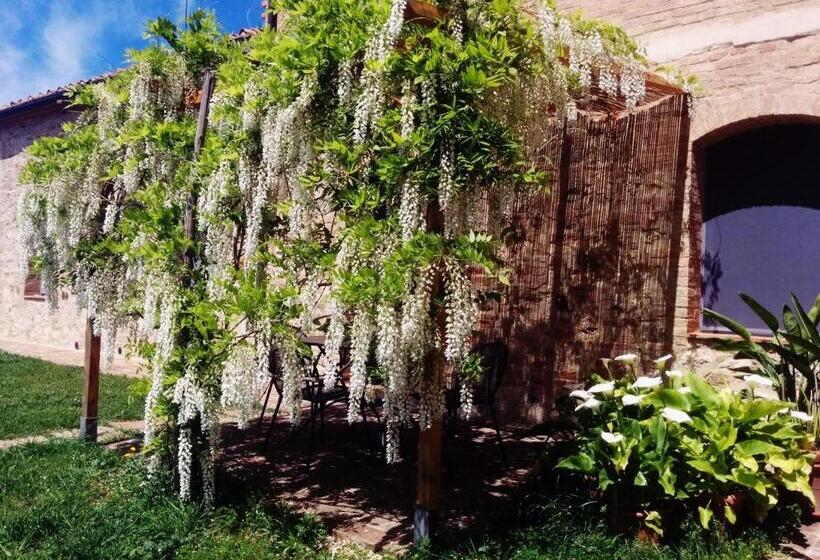 Appartamento 1 Camera da Letto, La Fornace Di San Galgano