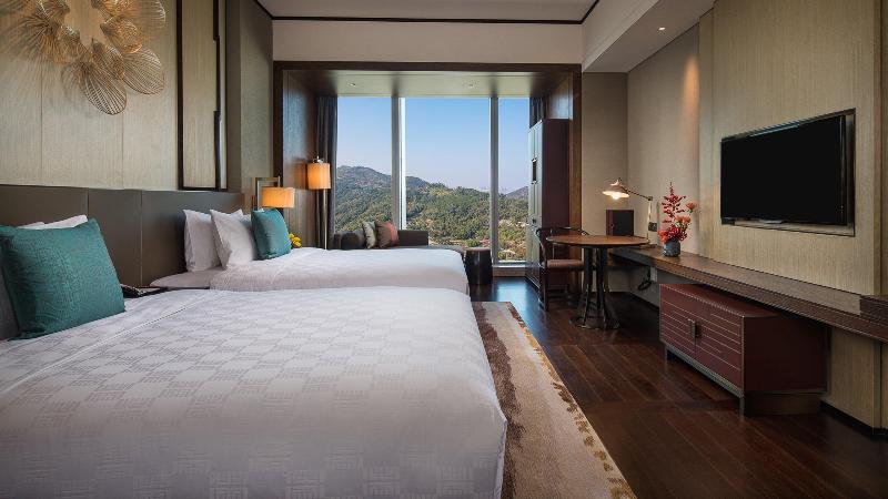 Chambre Standard, Nologo