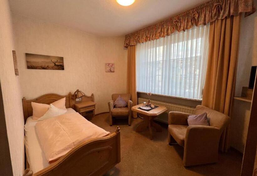 اتاق استاندارد یک نفره, Sevda S Hotel Garni Weinforth