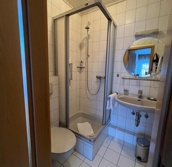 اتاق استاندارد یک تخته با بالکن, Sevda S Hotel Garni Weinforth