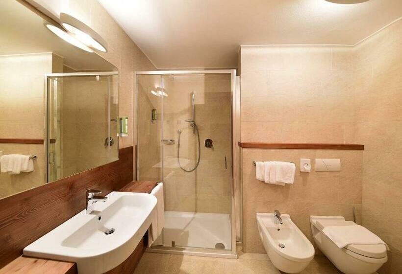 آپارتمان سوپریور 1 خوابه, Ariston Dolomiti Residence