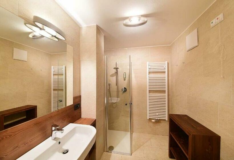 آپارتمان 2 خوابه با بالکن, Ariston Dolomiti Residence