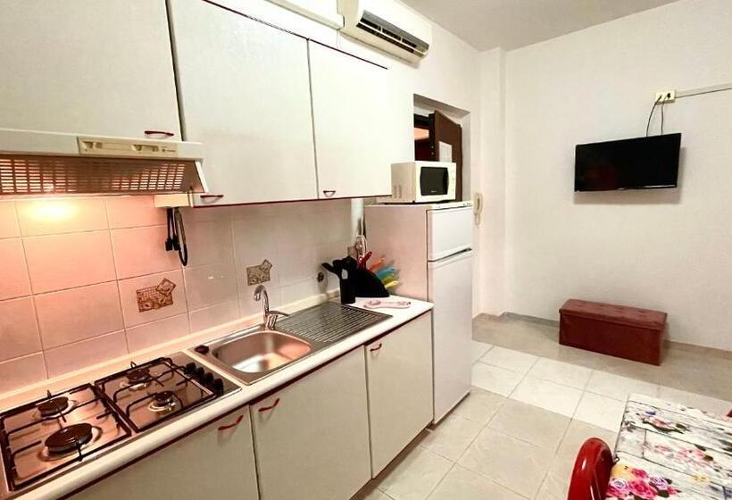 آپارتمان 1 خوابه, Belvedere Home