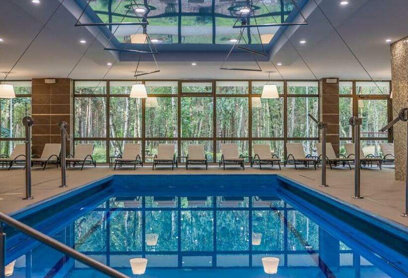 اتاق استاندارد با دسترسی به اسپا, Gradiali Wellness And Spa