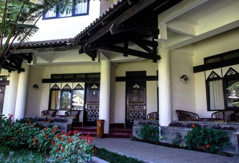 اتاق سوپریور, Sibayak Internasional