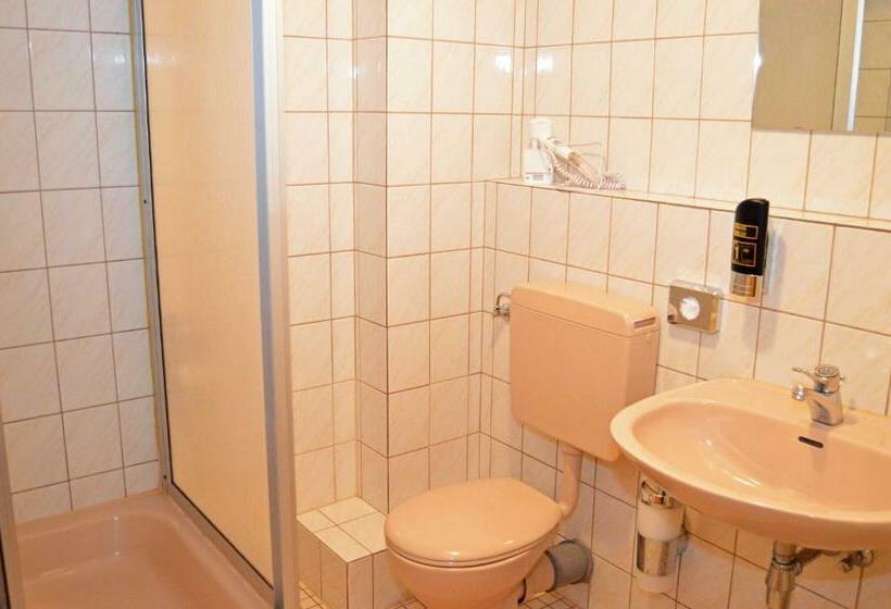 اتاق اکونومی یک تخته, G&h Hotel Rosengarten