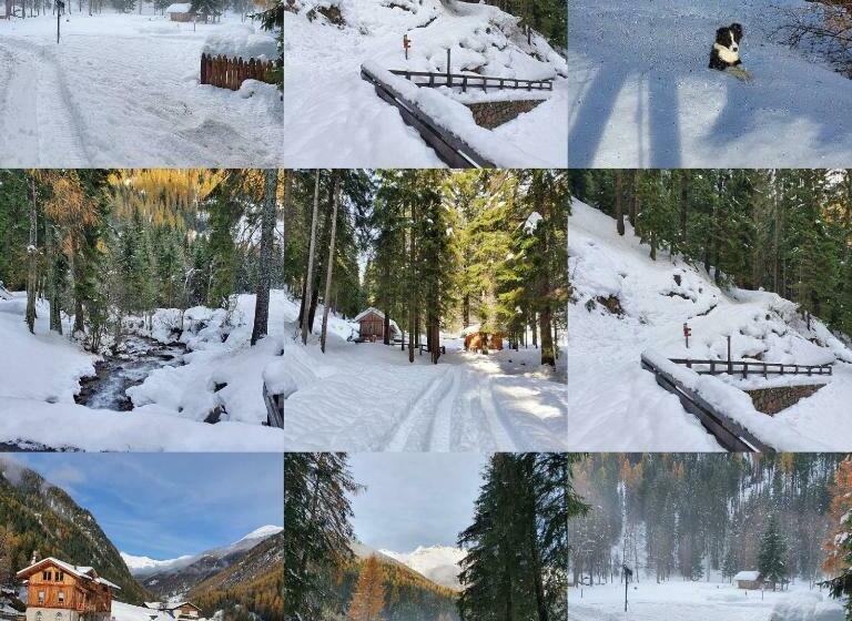 اتاق سوپریور سه تخته, Chalet Val Di Rabbi