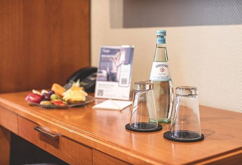 اتاق راحتی یک تخته, Plaza Inn Recklinghausen