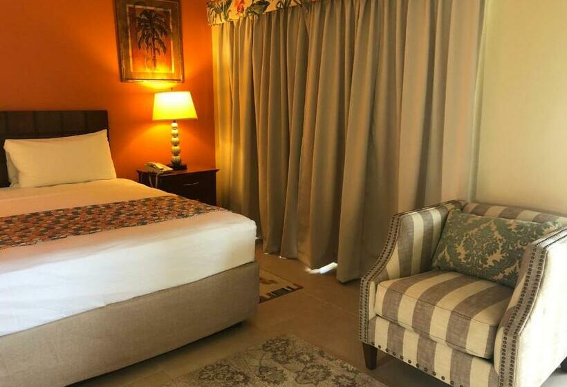 استودیوی سوپریور, Carl S Unique Inn & Conference Facilities