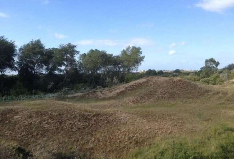 سوییت جونیور, Ara Dune