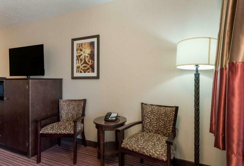 اتاق استاندارد با تخت بزرگ, Best Western Plus Cedar City