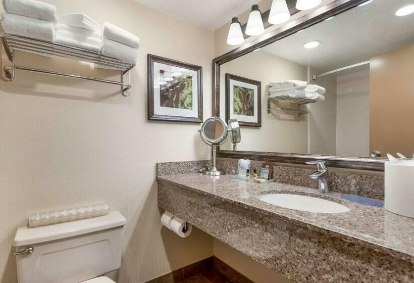 اتاق استاندارد, Best Western Plus Cedar City