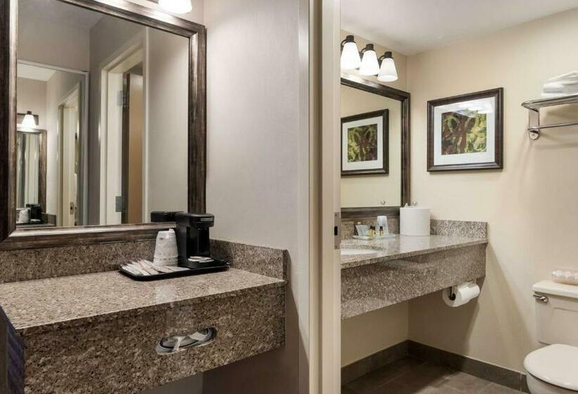 اتاق استاندارد با تخت بزرگ, Best Western Plus Cedar City