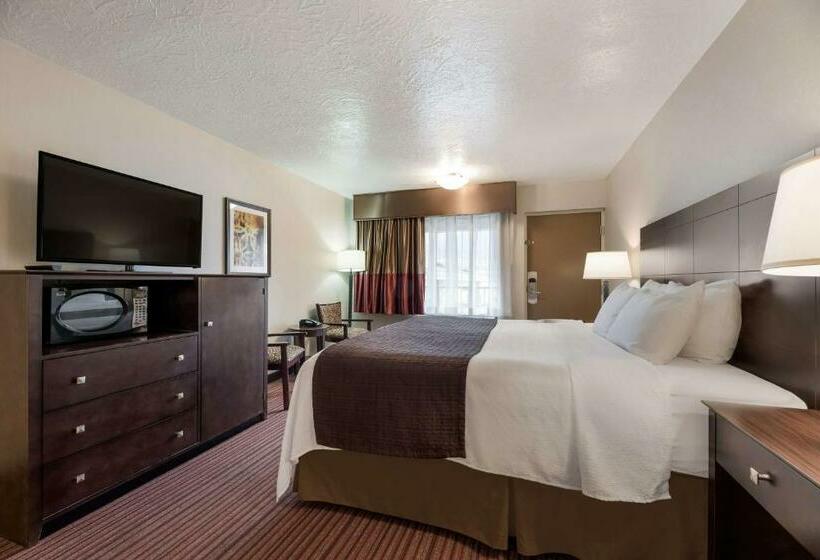 اتاق استاندارد با تخت بزرگ, Best Western Plus Cedar City