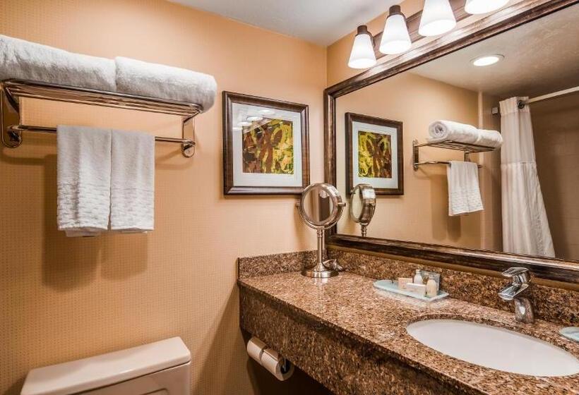 اتاق استاندارد با تخت بزرگ, Best Western Plus Cedar City