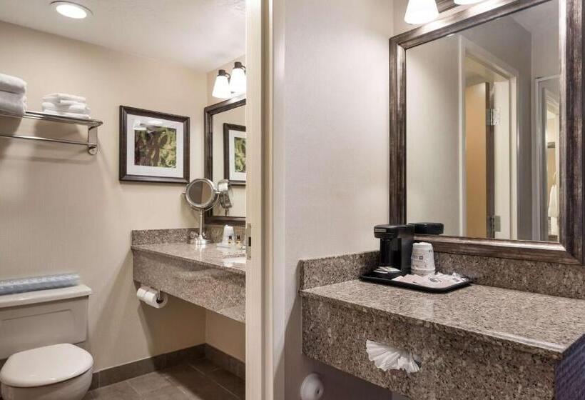 اتاق استاندارد با تخت بزرگ, Best Western Plus Cedar City