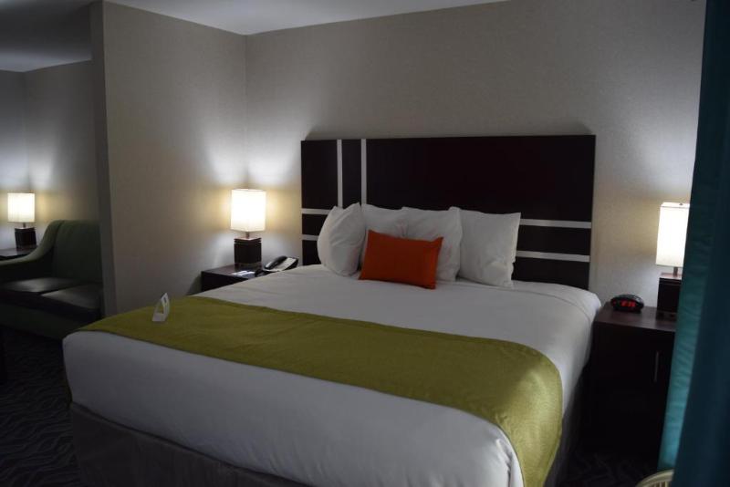 اتاق استاندارد با تخت بزرگ, Best Western Plus Hardeeville Inn & Suites