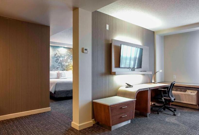 سوئیت با تخت بزرگ, Courtyard By Marriott Montreal West Island/baie D’urfe