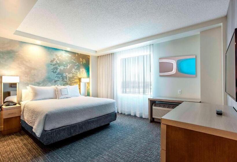 سوئیت با تخت بزرگ, Courtyard By Marriott Montreal West Island/baie D’urfe