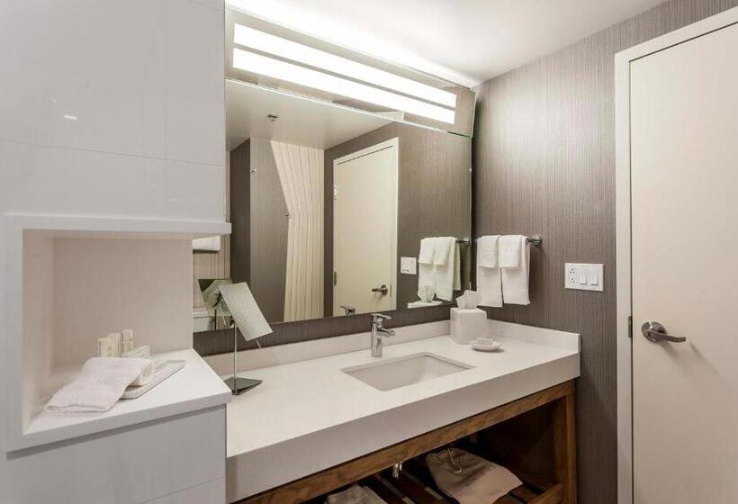 سوئیت با تخت بزرگ, Courtyard By Marriott Montreal West Island/baie D’urfe