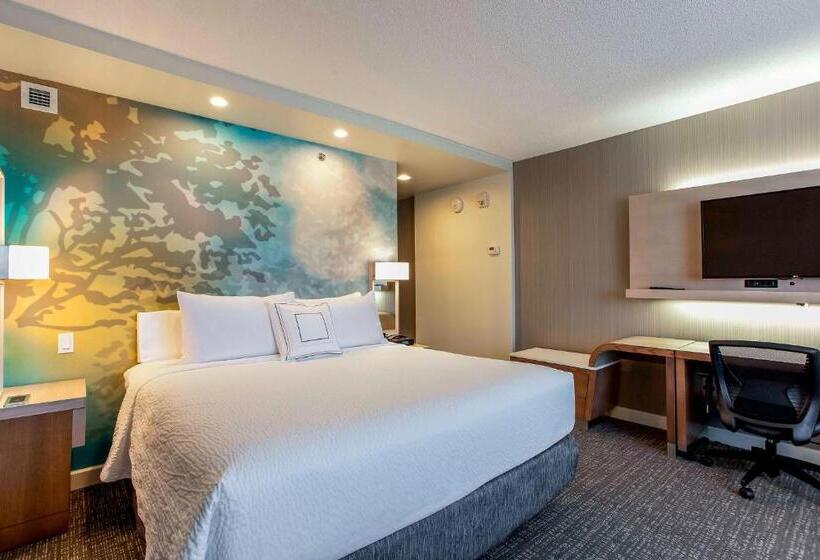 اتاق استاندارد با تخت بزرگ, Courtyard By Marriott Montreal West Island/baie D’urfe