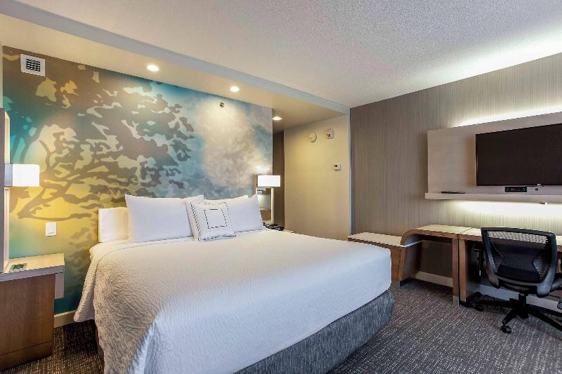 اتاق استاندارد با تخت بزرگ, Courtyard By Marriott Montreal West Island/baie D’urfe