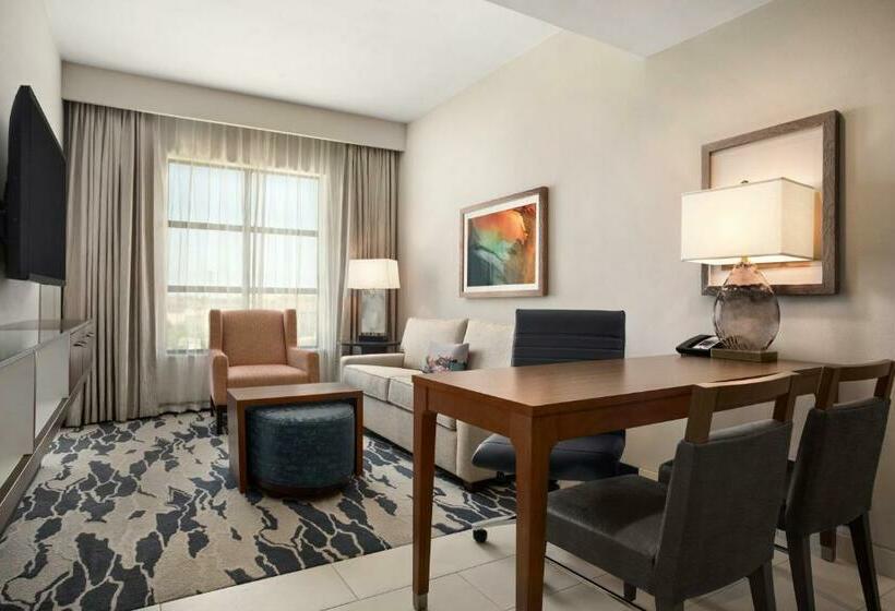 سوئیت 2 خوابه, Embassy Suites By Hilton Mcallen Convention Center