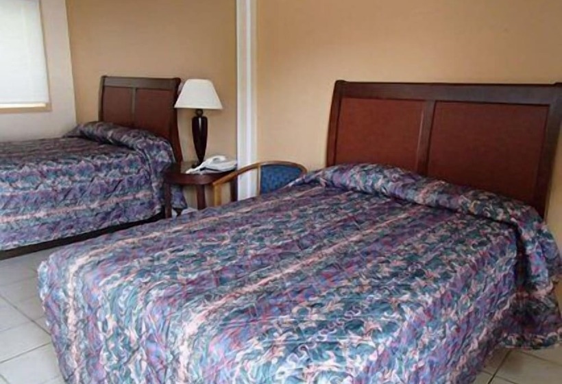 اتاق لوکس, Flamingo Inn