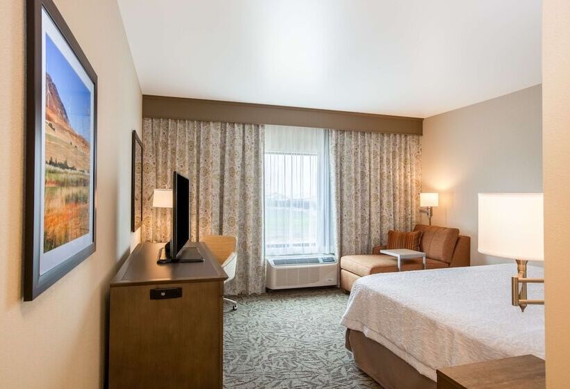 اتاق استاندارد با تخت دوبل برای معلولان, Hampton Inn & Suites Pasco/tricities