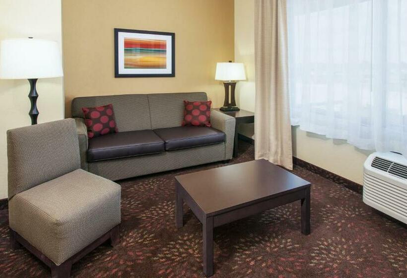 اتاق استاندارد, Holiday Inn Express & Suites Sandusky