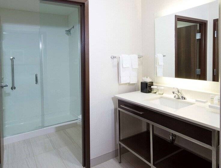 سوییت, Homewood Suites By Hilton Houston / Katy Mills Mall