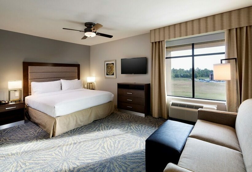 استودیو استاندارد با تخت کینگ, Homewood Suites By Hilton Houston / Katy Mills Mall