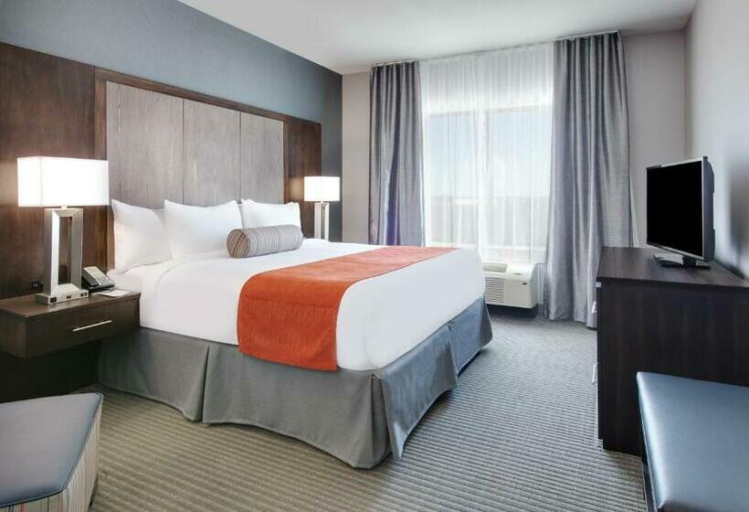 اتاق استاندارد با تخت بزرگ, Wingate By Wyndham San Angelo