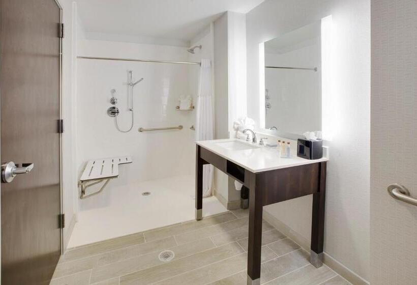 اتاق استاندارد با تخت بزرگ برای معلولان, Wingate By Wyndham San Angelo