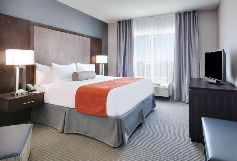 اتاق استاندارد با تخت بزرگ برای معلولان, Wingate By Wyndham San Angelo