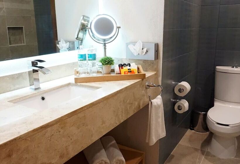 اتاق استاندارد, Hit Hoteles Aeropuerto Puebla